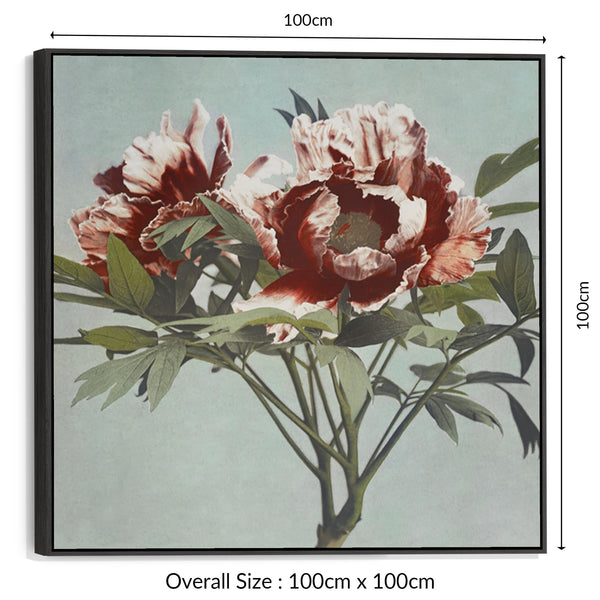Vintage Japanese Pink Floral Wall Art Framed Canvas Print of Tree Peony Flowers Painting - 100cm x 100cm