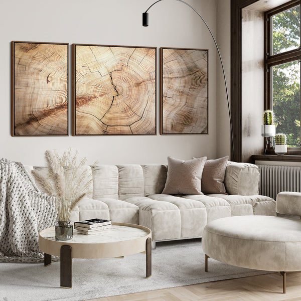 Extra Large Framed Canvas Wall Art Pictures for Living Room - Natural Beige Brown Tree Rings - Set of 3 - XXL 212cm Wide