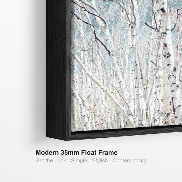 Large Silver Birch Trees Wall Art for Living Room - Framed Canvas