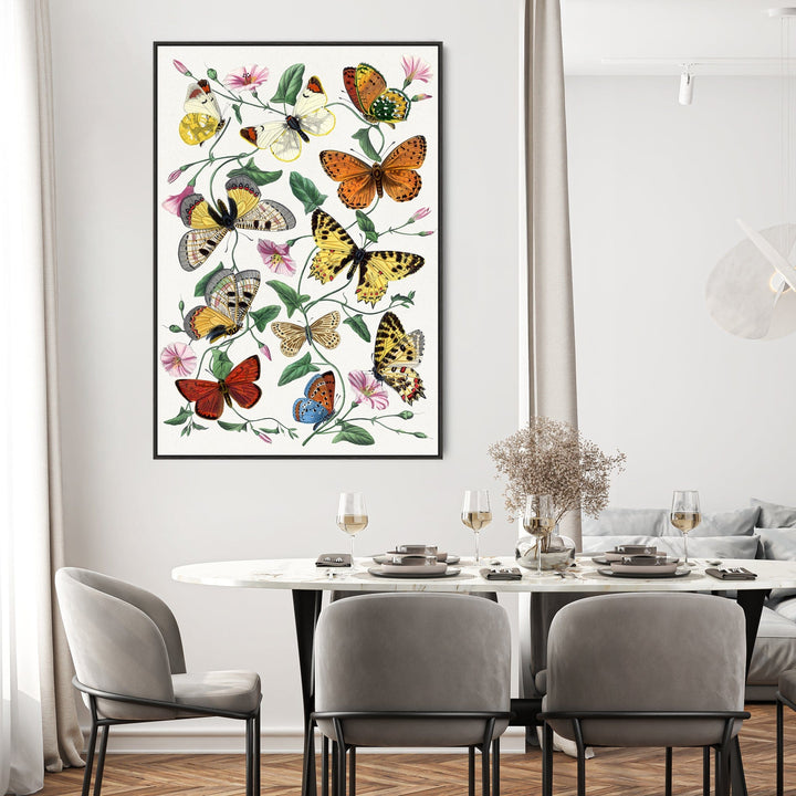 Large Bright Colourful Wall Art Framed Butterfly Multi Coloured Canvas Print - FFp-2167-B-S