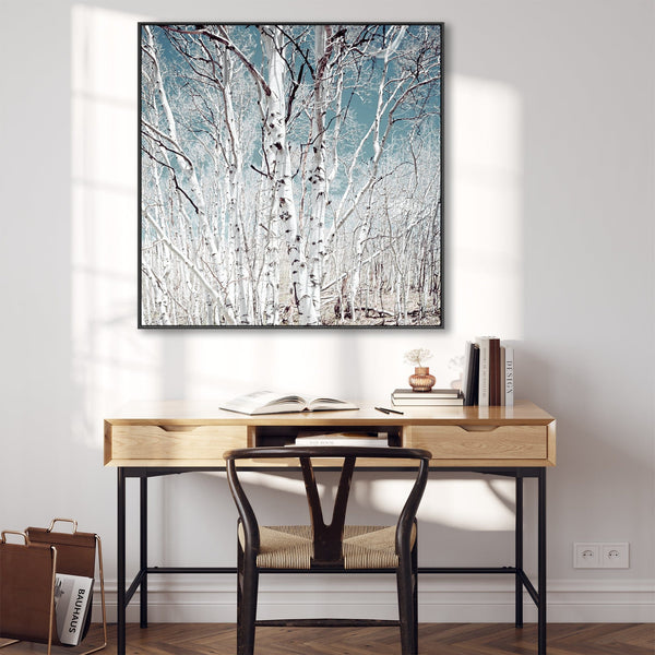 Large Silver Birch Trees Wall Art for Living Room - Framed Canvas
