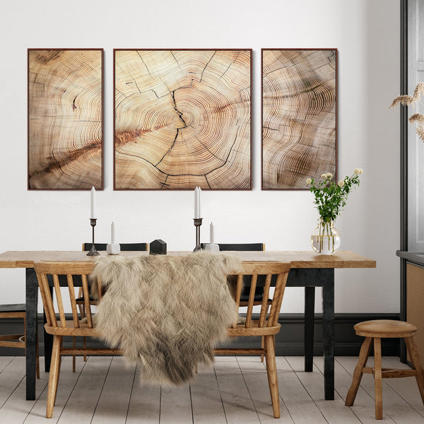 Extra Large Framed Canvas Wall Art Pictures for Living Room - Natural Beige Brown Tree Rings - Set of 3 - XXL 212cm Wide