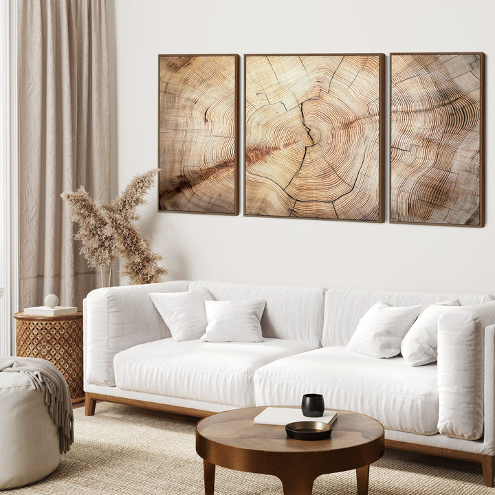 Extra Large Framed Canvas Wall Art Pictures for Living Room - Natural Beige Brown Tree Rings - Set of 3 - XXL 212cm Wide - 3AF2078XL