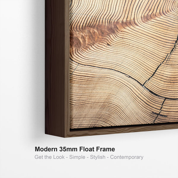 Extra Large Framed Canvas Wall Art Pictures for Living Room - Natural Beige Brown Tree Rings - Set of 3 - XXL 212cm Wide