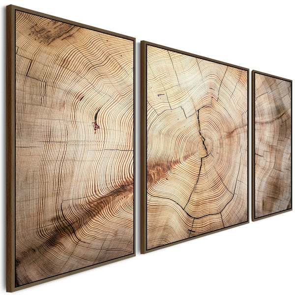 Extra Large Framed Canvas Wall Art Pictures for Living Room - Natural Beige Brown Tree Rings - Set of 3 - XXL 212cm Wide