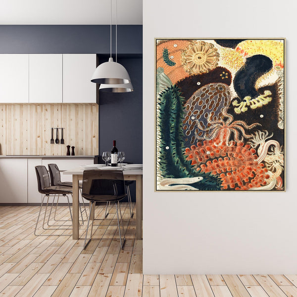 Shells Barrier Reef by William Saville Kent Framed Canvas Artwork Print