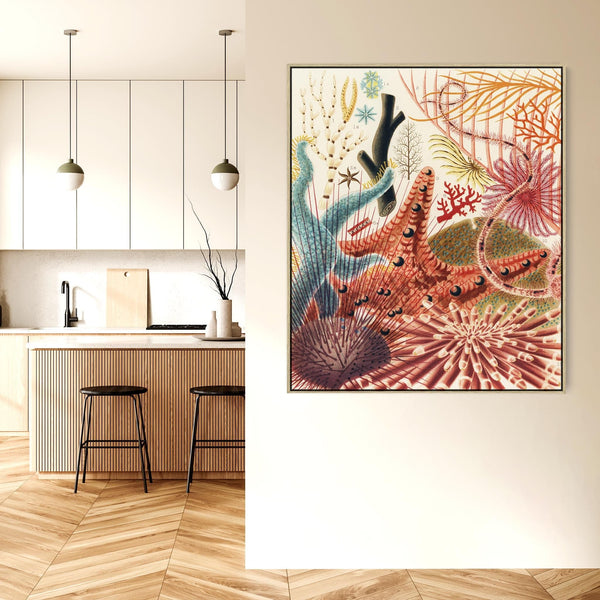 Sea Shells Barrier Reef by William Saville Kent Canvas Framed Wall Art Print