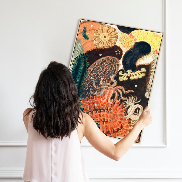 Shells Barrier Reef by William Saville Kent Framed Canvas Artwork Print