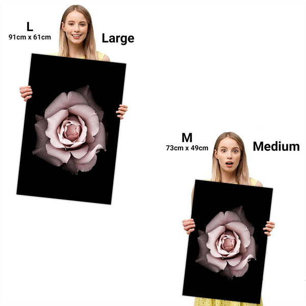 Blush Pink Grey Rose Floral Framed Wall Art Print