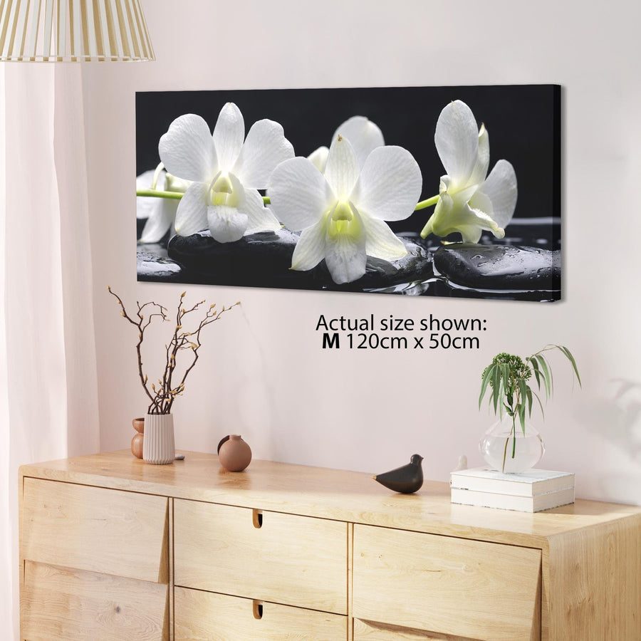 Black and White Orchid Flower Floral Canvas