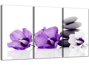 Set of 3 Floral Canvas Wall Art Hibiscus 3071