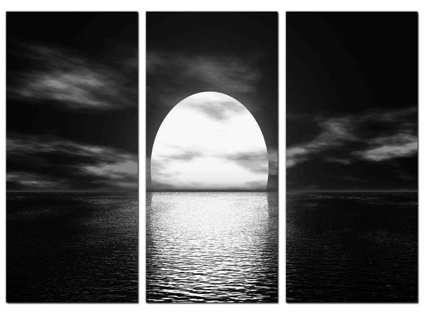 Black and White Seascape