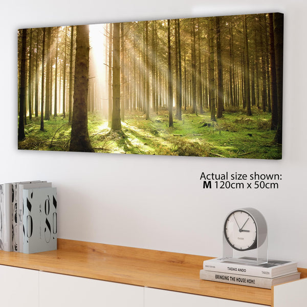 Modern Green Forest Woodland Sunlight Trees Canvas