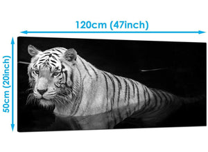 Living-Room Black White Extra Large Canvas of Tiger