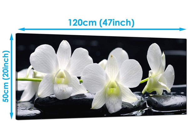 Bedroom Black White Panoramic Canvas of Lily