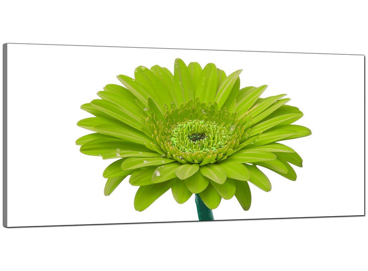 Lime-Green Bedroom Wide Canvas of Daisy - 4098