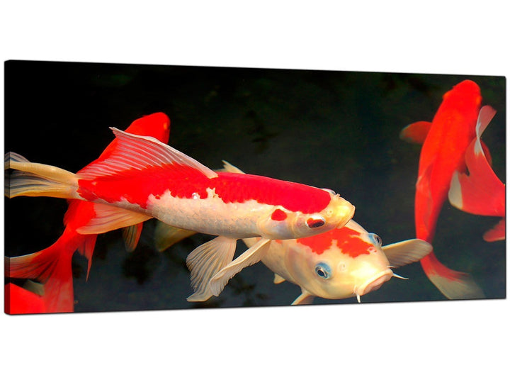 Red Living Room Wide Canvas of Koi Carp - 4094
