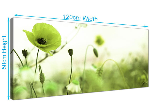 cheap-panoramic-poppy-field-canvas-prints-green-1273