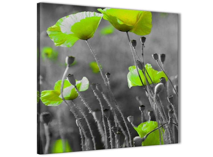 Framed Lime Green Poppy Flowers Kitchen Canvas Wall Art Decorations - Abstract 1s138m - 64cm Square Print