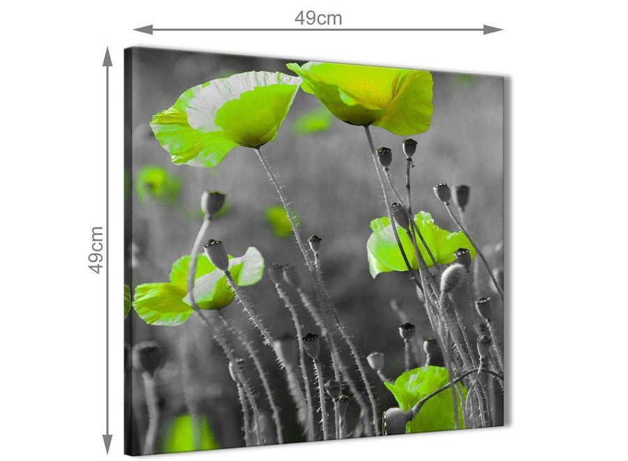 Inexpensive Lime Green Poppy Flowers Kitchen Canvas Wall Art Accessories - Abstract 1s138s - 49cm Square Print