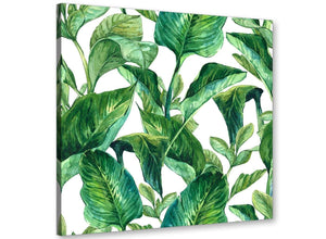 Modern Green Palm Tropical Banana Leaves Canvas Modern 49cm Square 1S324S For Your Living Room