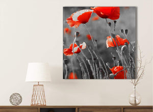 Red Poppy Black White Flower Poppies Floral Canvas Bathroom Canvas Wall Art Accessories - Abstract 1s135s - 49cm Square Print