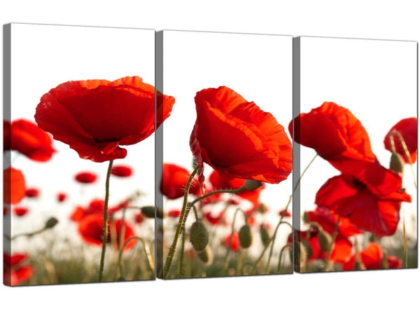Set of 3 Flowers Canvas Wall Art Poppy 3056
