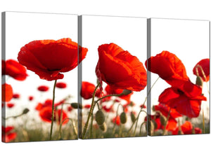Set of 3 Flowers Canvas Wall Art Poppy 3056