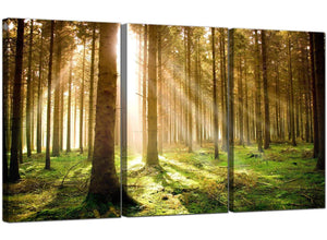 Set of 3 Landscape Canvas Art Woodland 3042