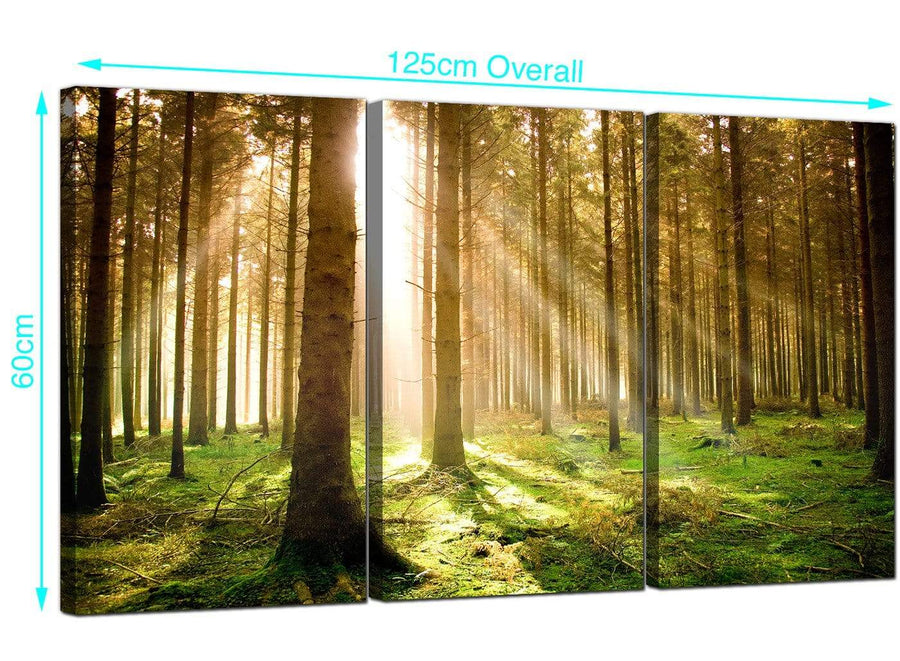 Set of 3 Forest Canvas Wall Art 125cm x 60cm 3042