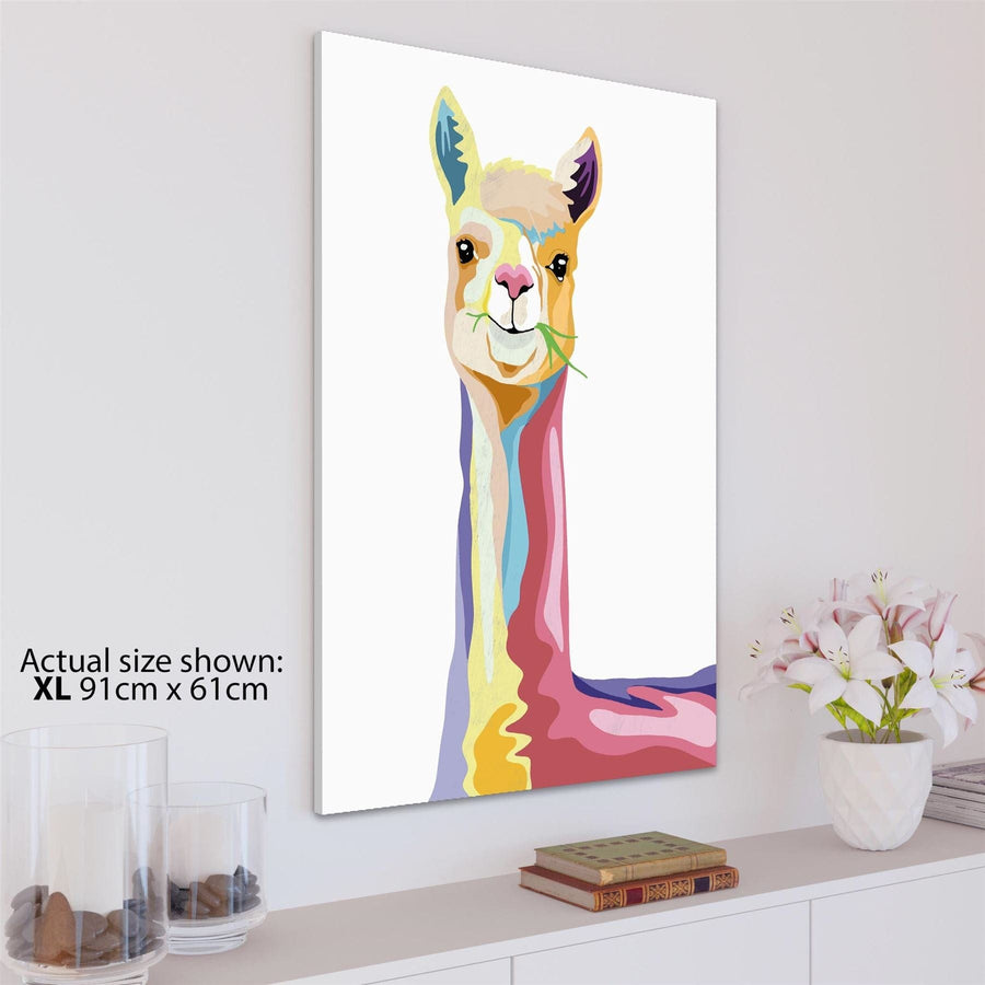 Happy Lama Canvas Art Pictures - Multi Coloured