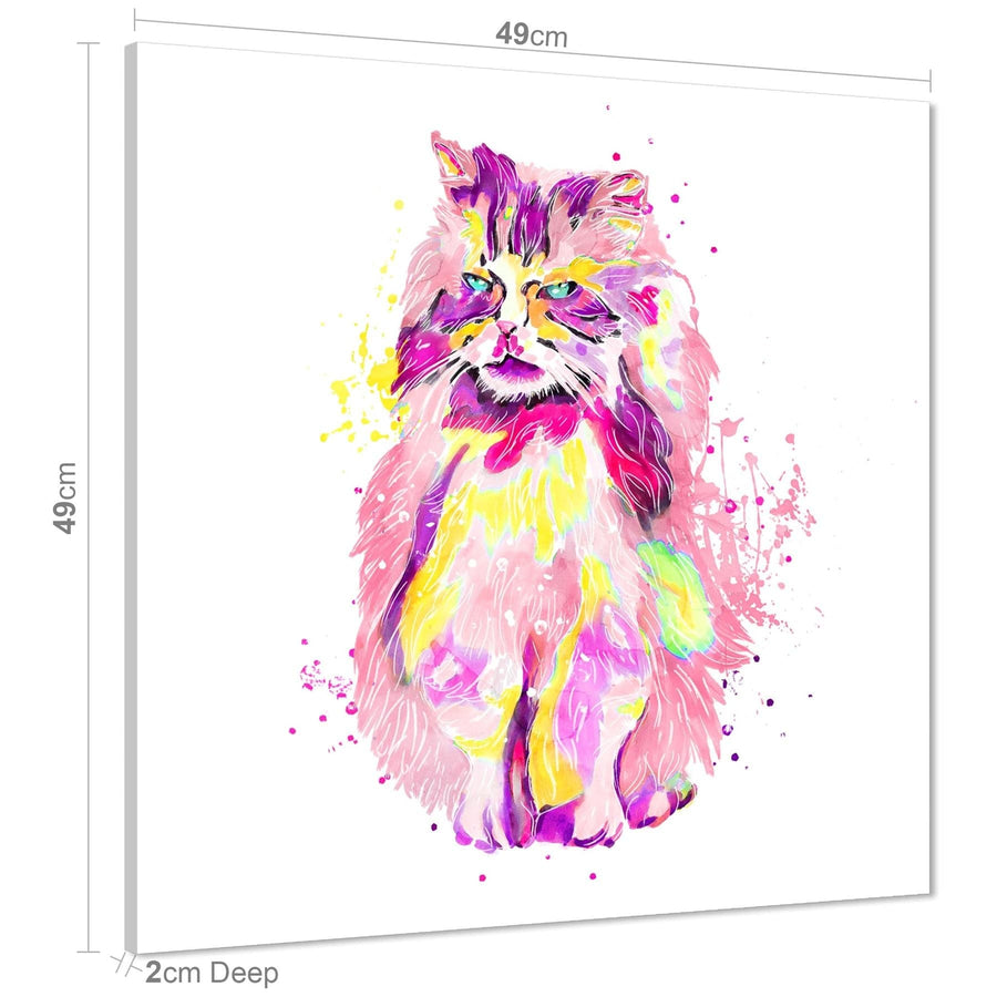 Pet Cat Canvas Art Pictures - Multi Coloured