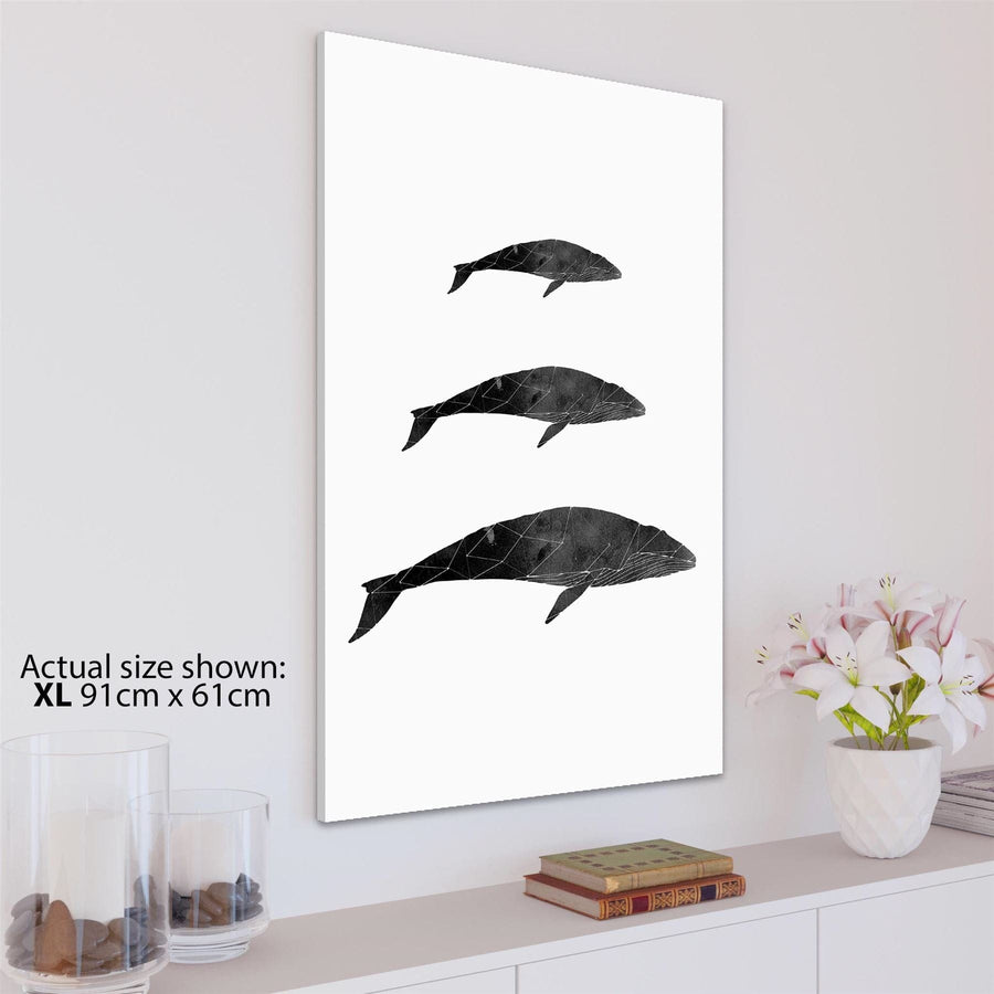 Blue Whale Canvas Art Pictures - Black and White
