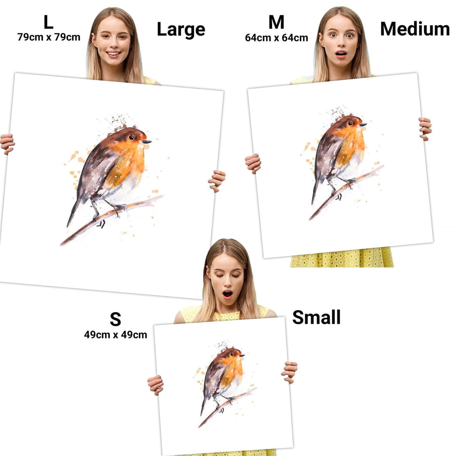 Robin Red Breast Canvas Art Pictures - Orange Brown
