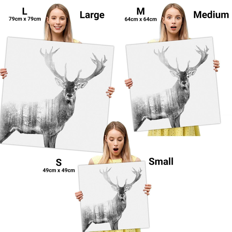 Stag Canvas Art Prints - Black and White Grey