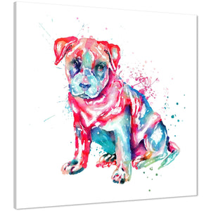 Staffordshire Bull Terrier Framed Wall Art Print - Multicoloured