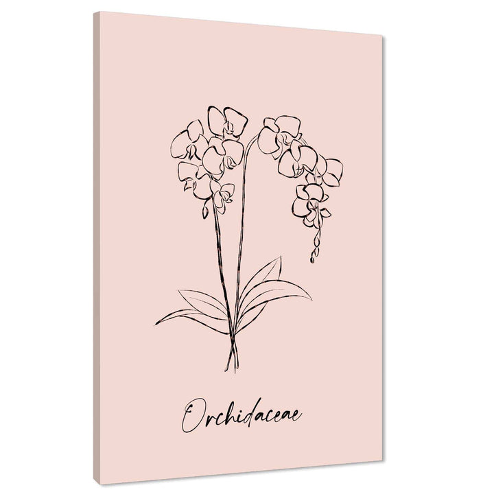 Pink Orchid Line Drawing Floral Canvas Art Prints - 1RP1275M