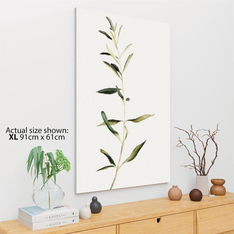 Green Olive Leaves Floral Canvas Art Pictures