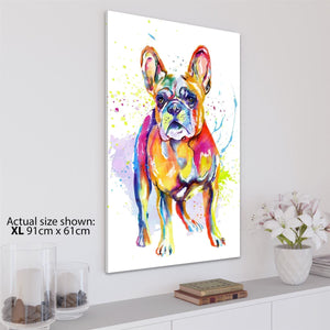 French Bulldog Canvas Art Pictures - Multicoloured