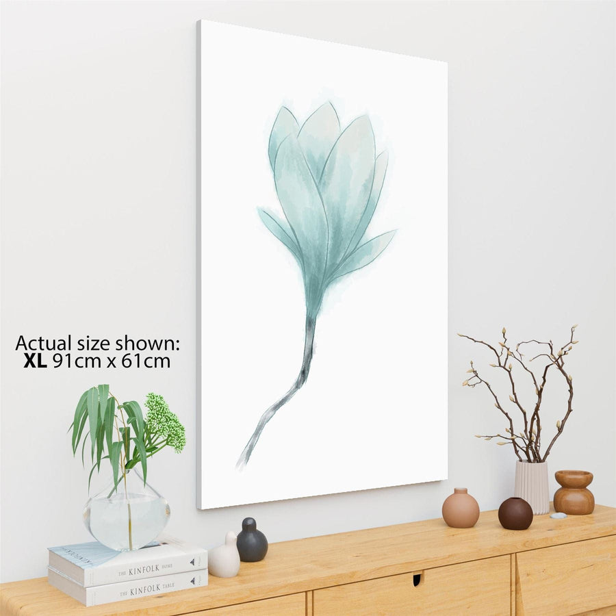 Light Blue Magnolia Flower Floral Canvas Art Pictures