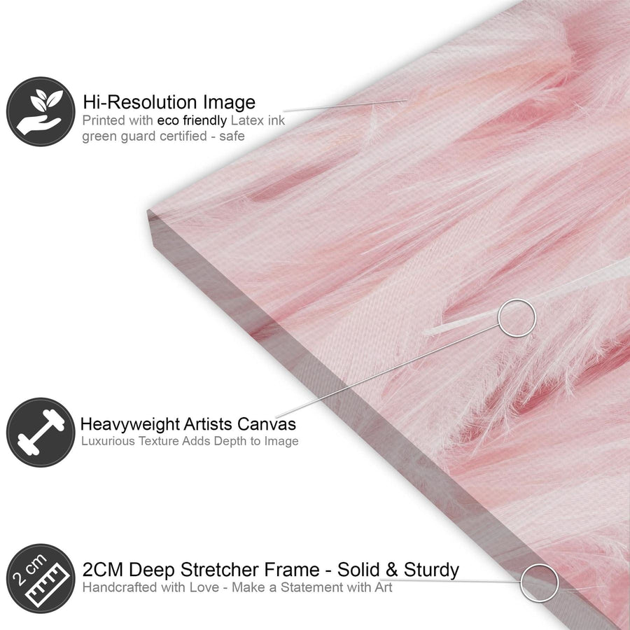 Abstract Pink Feathers Canvas Wall Art Print