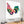 Cockerel Canvas Wall Art Picture - Multi Coloured