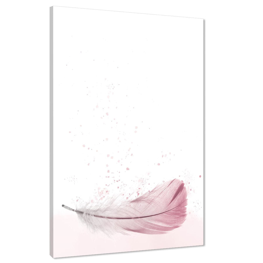 Fantasy Canvas Wall Art Print Feather Pink