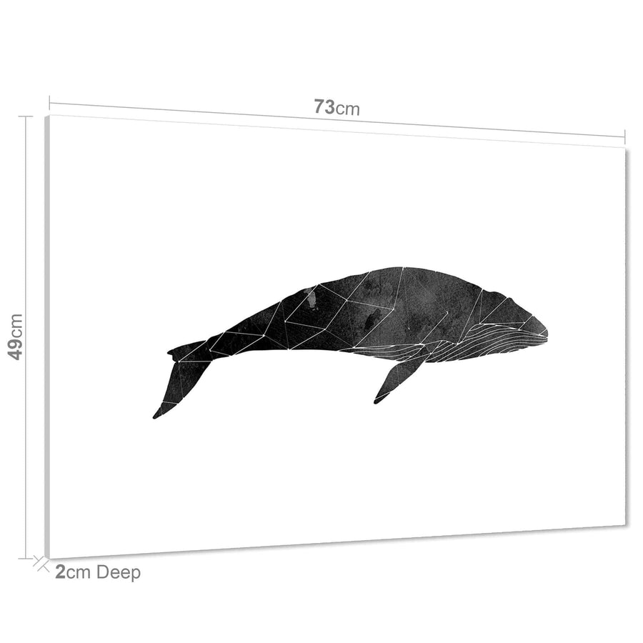 Whale Canvas Art Pictures - Black and White
