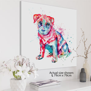 Staffordshire Bull Terrier Framed Wall Art Print - Multicoloured