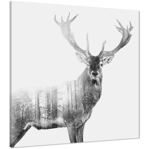 Stag Canvas Art Prints - Black and White Grey