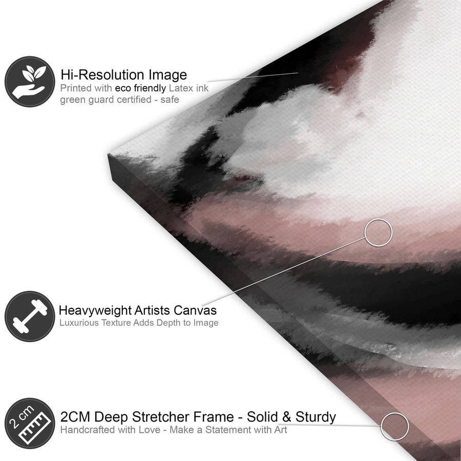 Abstract Black and White Pink Watercolour Brushstrokes Canvas Art Prints