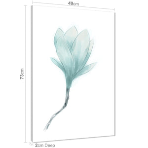 Light Blue Magnolia Flower Floral Canvas Art Pictures