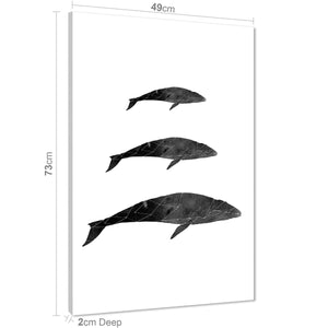 Blue Whale Canvas Art Pictures - Black and White