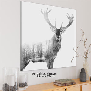 Stag Canvas Art Prints - Black and White Grey